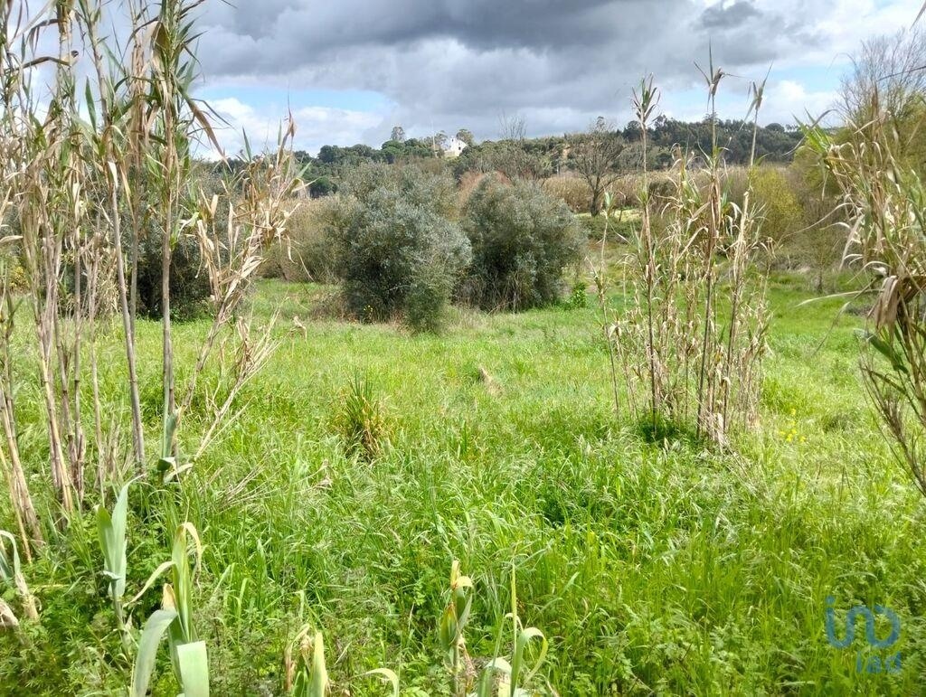 1 - vente terrain rio maior alentejo portugal