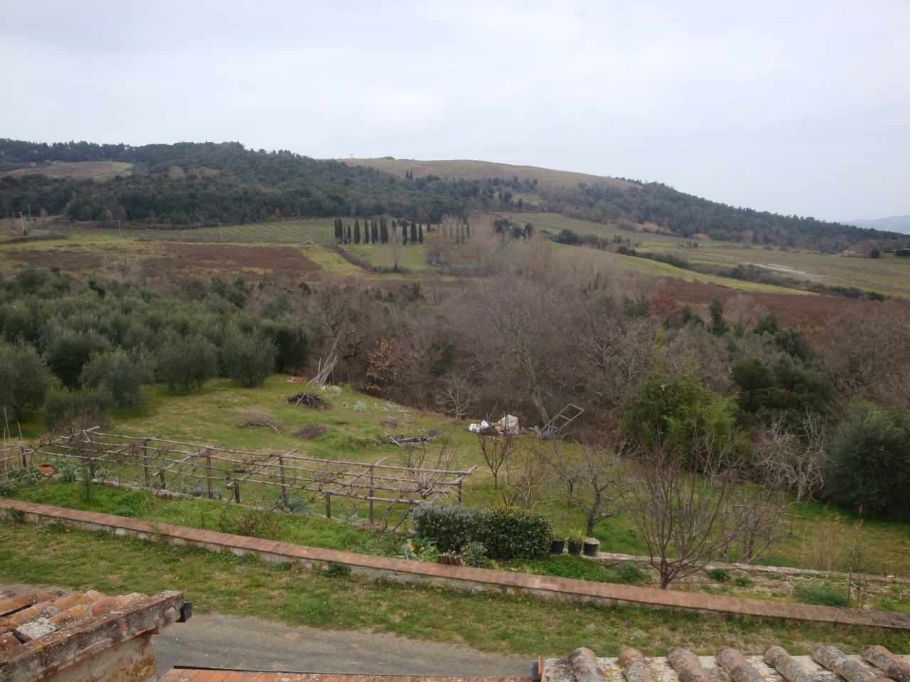 1 - plot of land for sale in riparbella tuscany italy