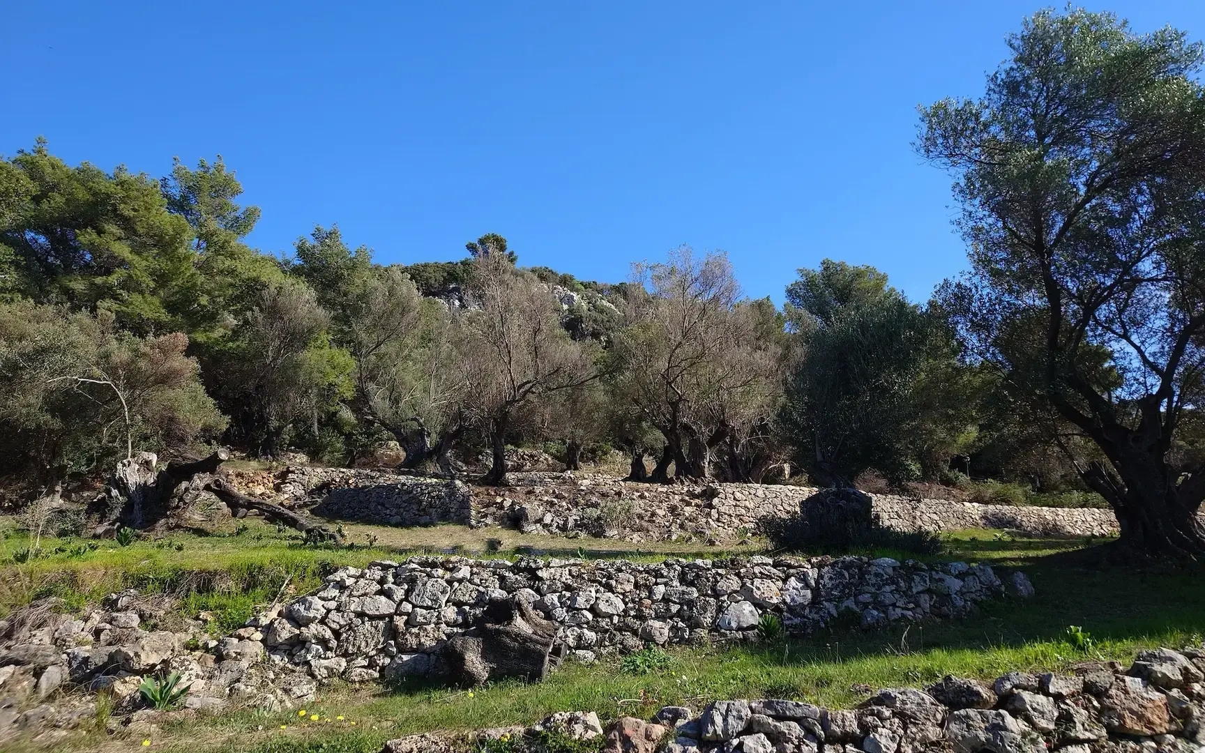 2 - vendita terreno vista mare argostólion isole ioniche grecia