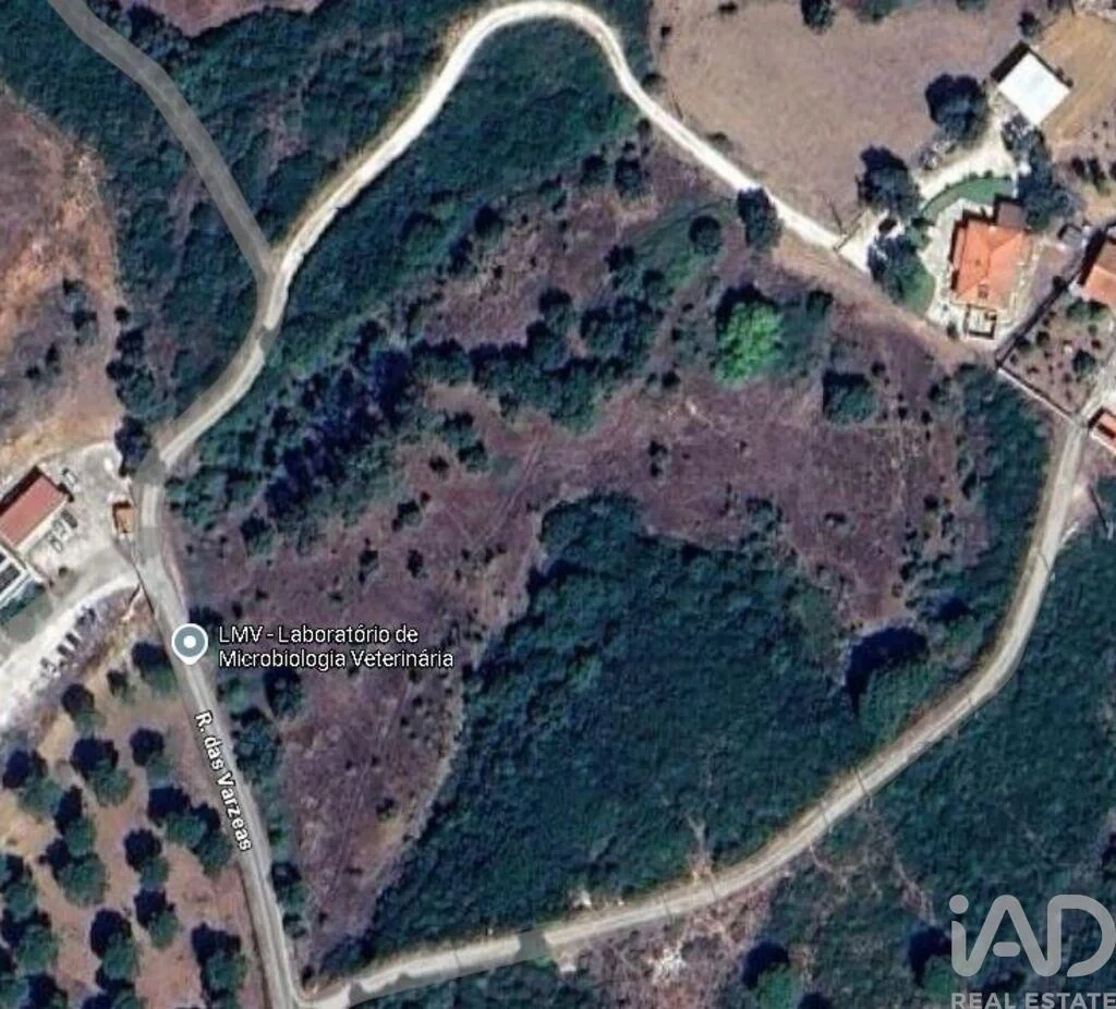1 - venda terreno almoster região do centro portugal