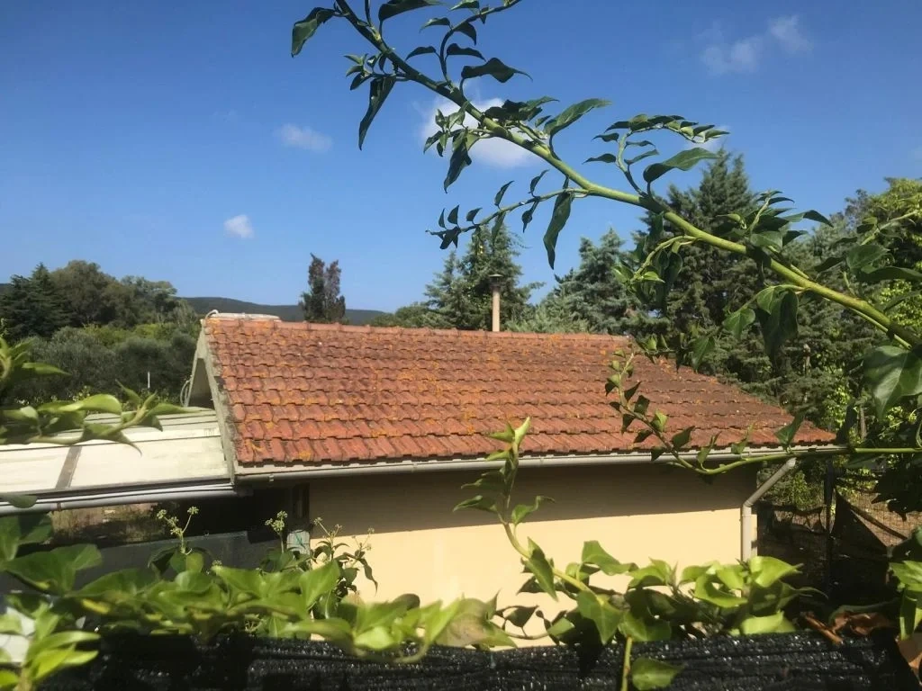 1 - venta terreno piombino toscana italia