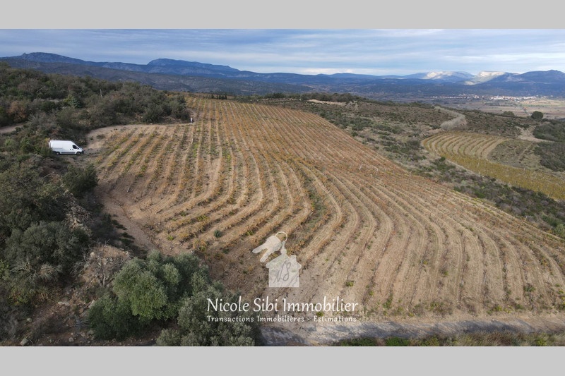 1 - plot of land for sale in cassagnes pyrénées-orientales france
