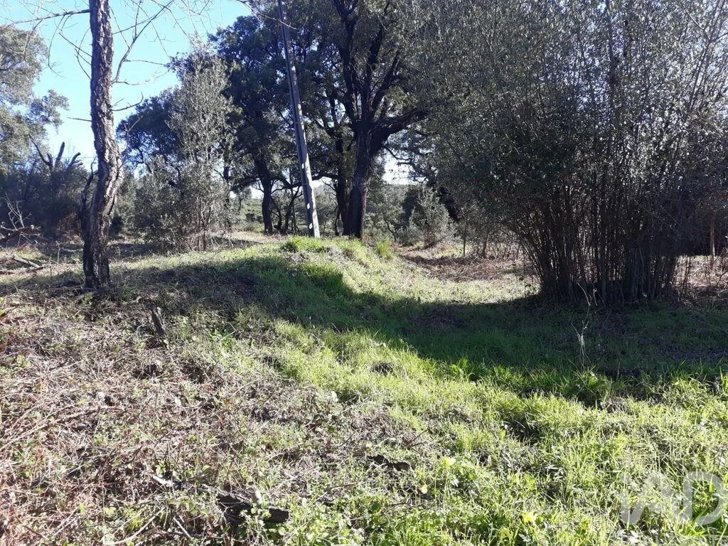 1 - venta terreno monchique algarve portugal
