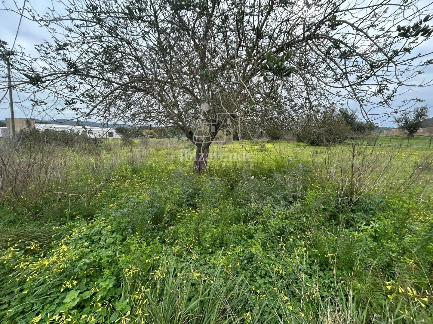 2 - vente propriété sant llorenç de balafia ibiza - baléares espagne