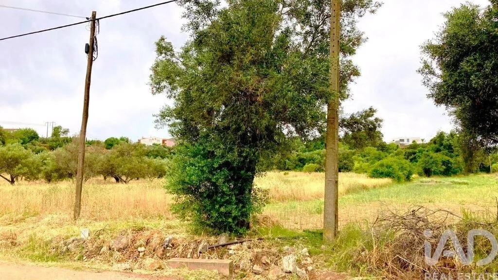 1 - vendita terreno são brás de alportel algarve portogallo