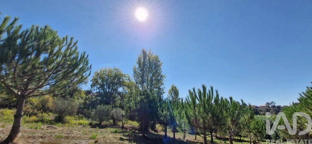 2 - villa for sale in benedita centro region portugal