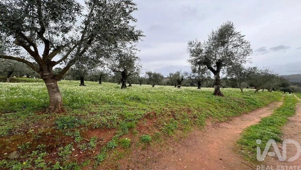 1 - venta terreno podentes región centro portugal