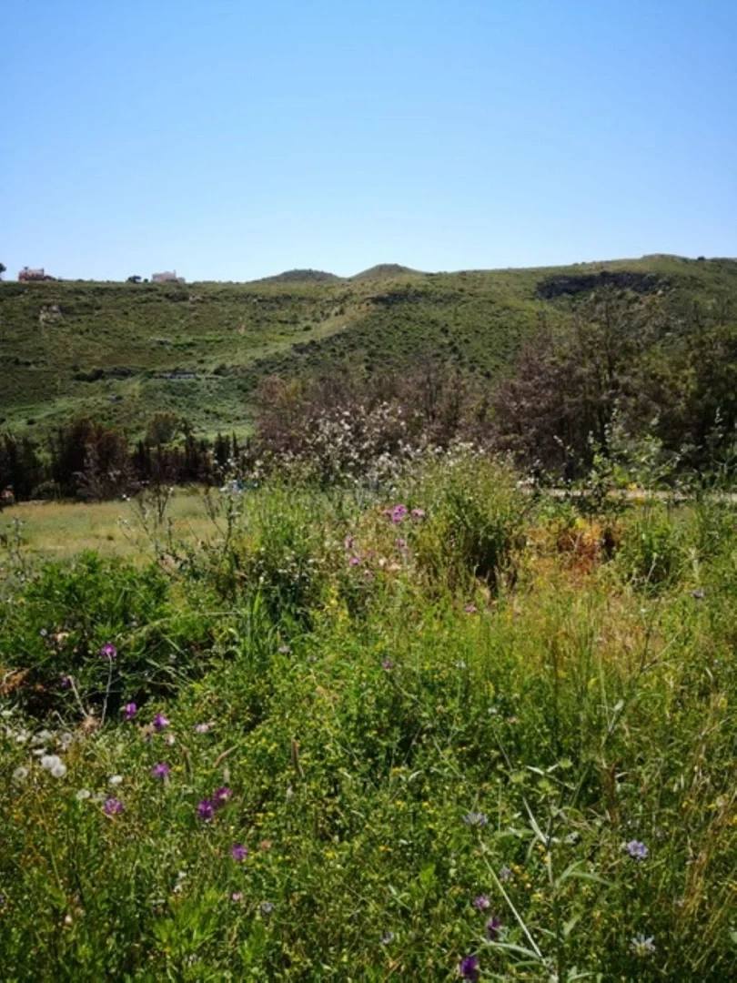 2 - venta terreno manilva andalucía españa
