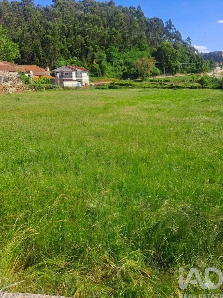 1 - продажа территория penafiel северный регион португалия