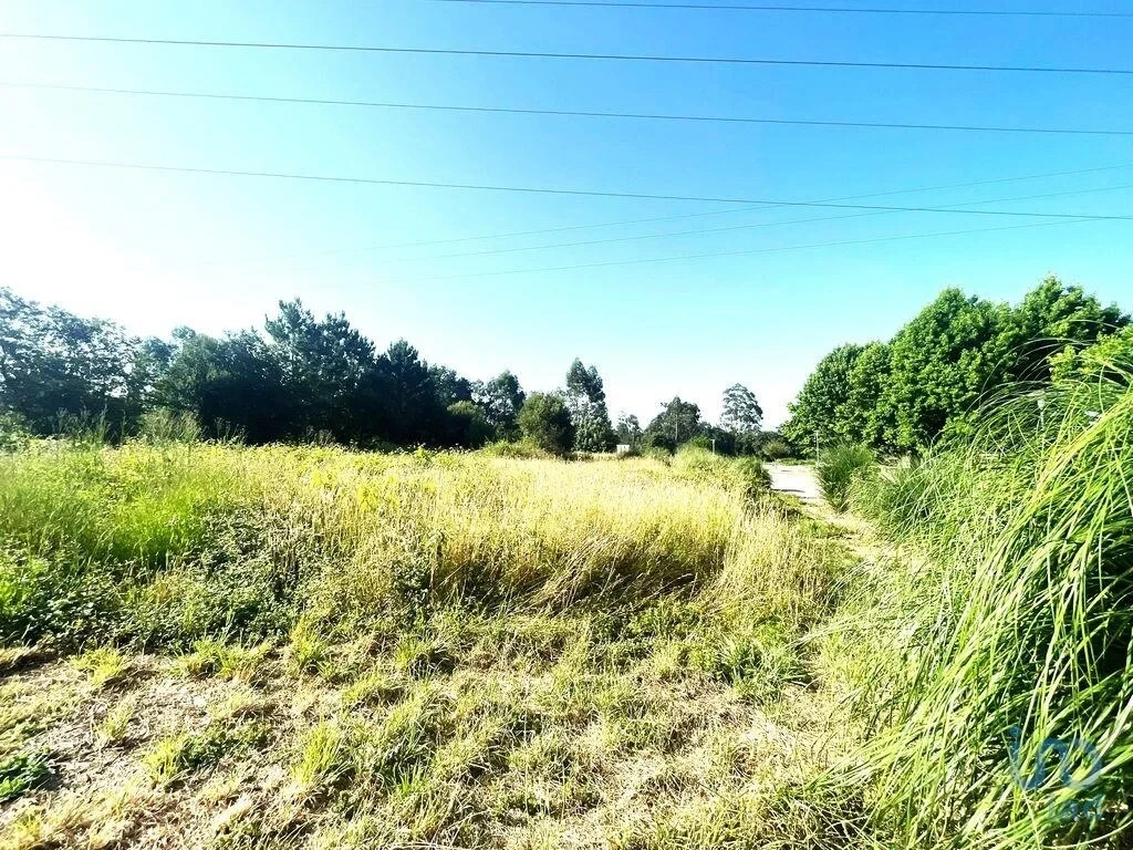 1 - продажа территория viana do castelo северный регион португалия