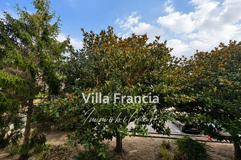 1 - vendita appartamento cannes alpi marittime francia