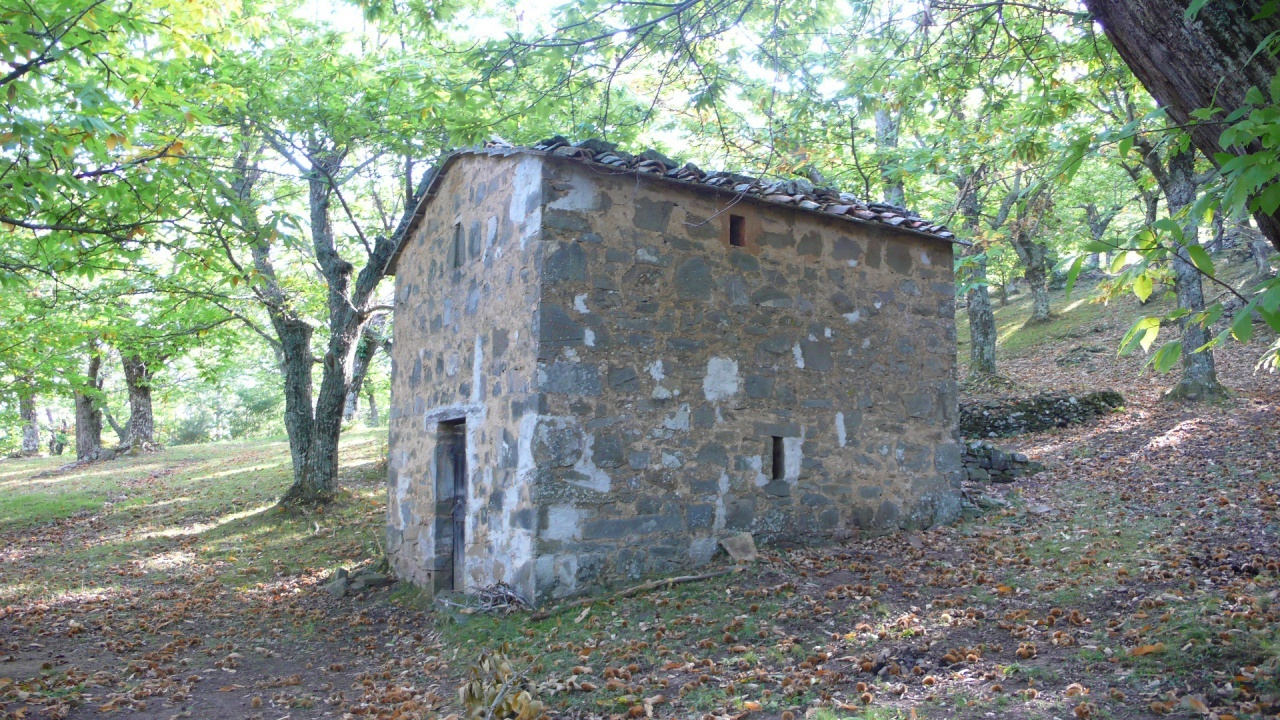 2 - venta propiedad cinigiano toscana italia