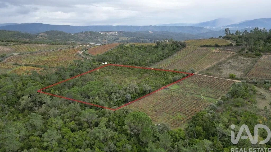 1 - venta terreno condeixa-a-nova región centro portugal