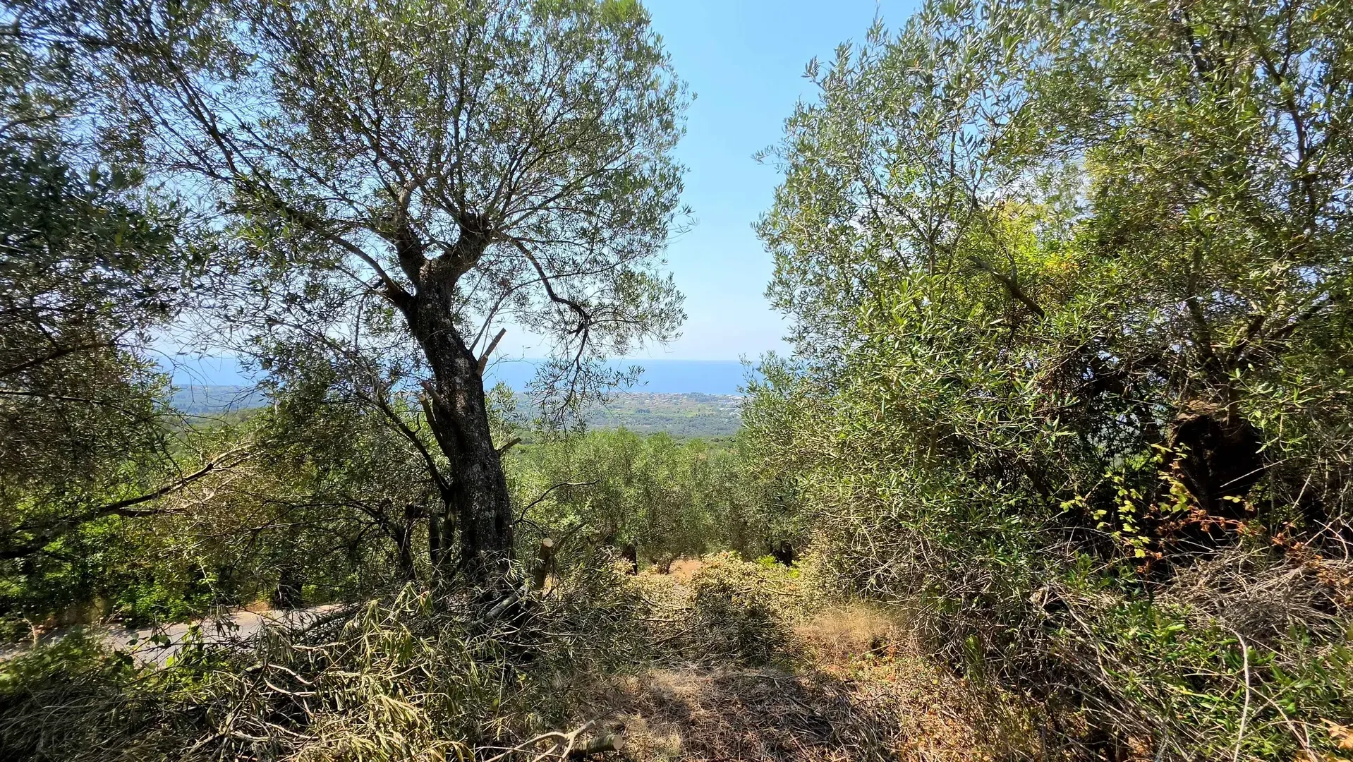 2 - продажа территория вид моря corfu ионические острова греция
