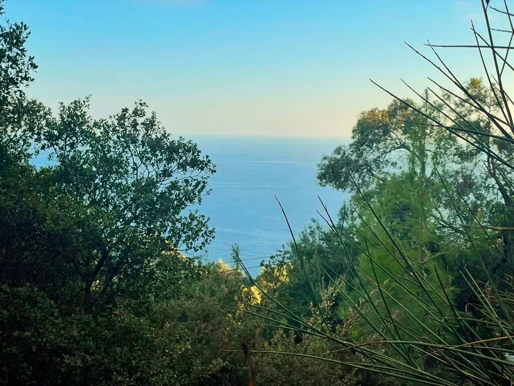 2 - vente terrain vue mer palaiokastrítsa îles ioniennes grèce