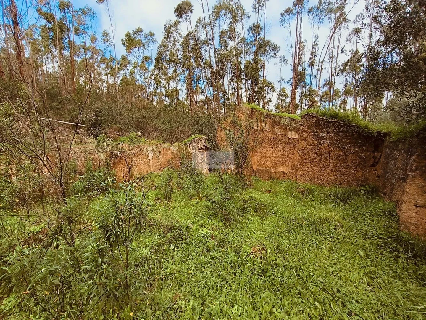 1 - venta terreno monchique algarve portugal