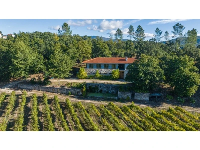 1 - vente propriété cabeceiras de basto région nord portugal