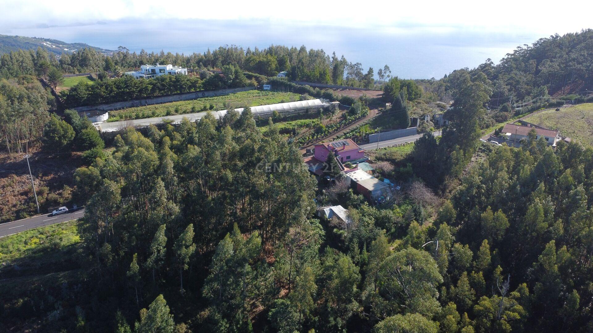 1 - venta terreno gaula madeira portugal