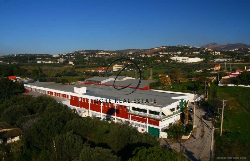 1 - vente terrain pallini attique grèce