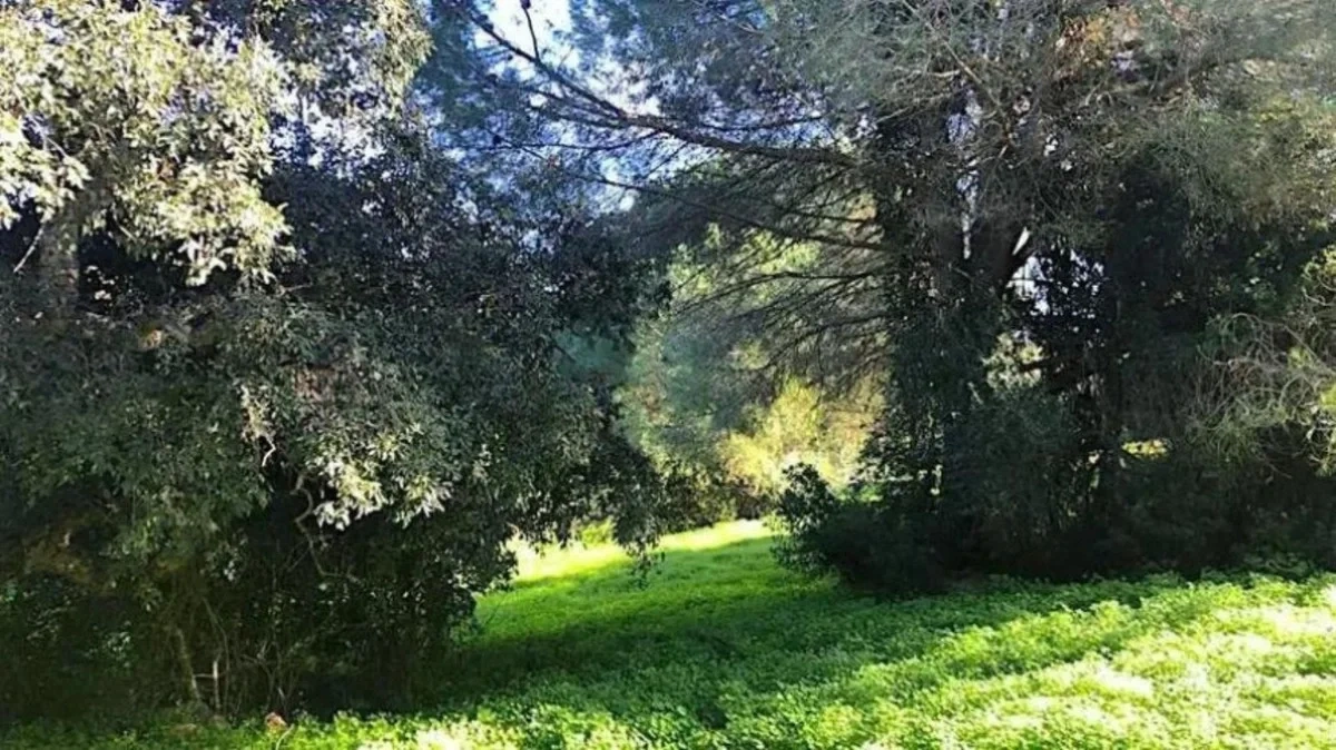 2 - verkauf grundstück sotogrande andalusien spanien