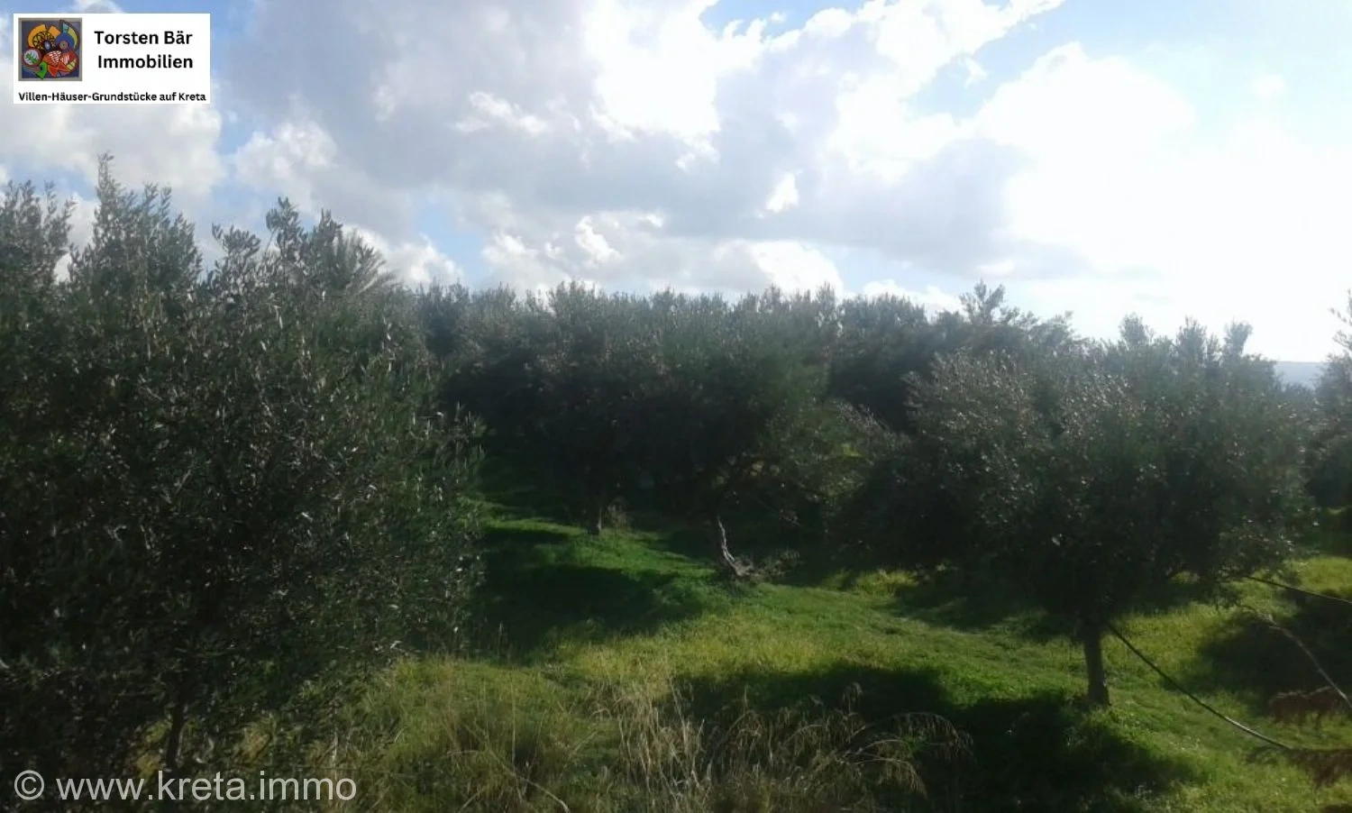 2 - plot of land for sale in vori crete greece