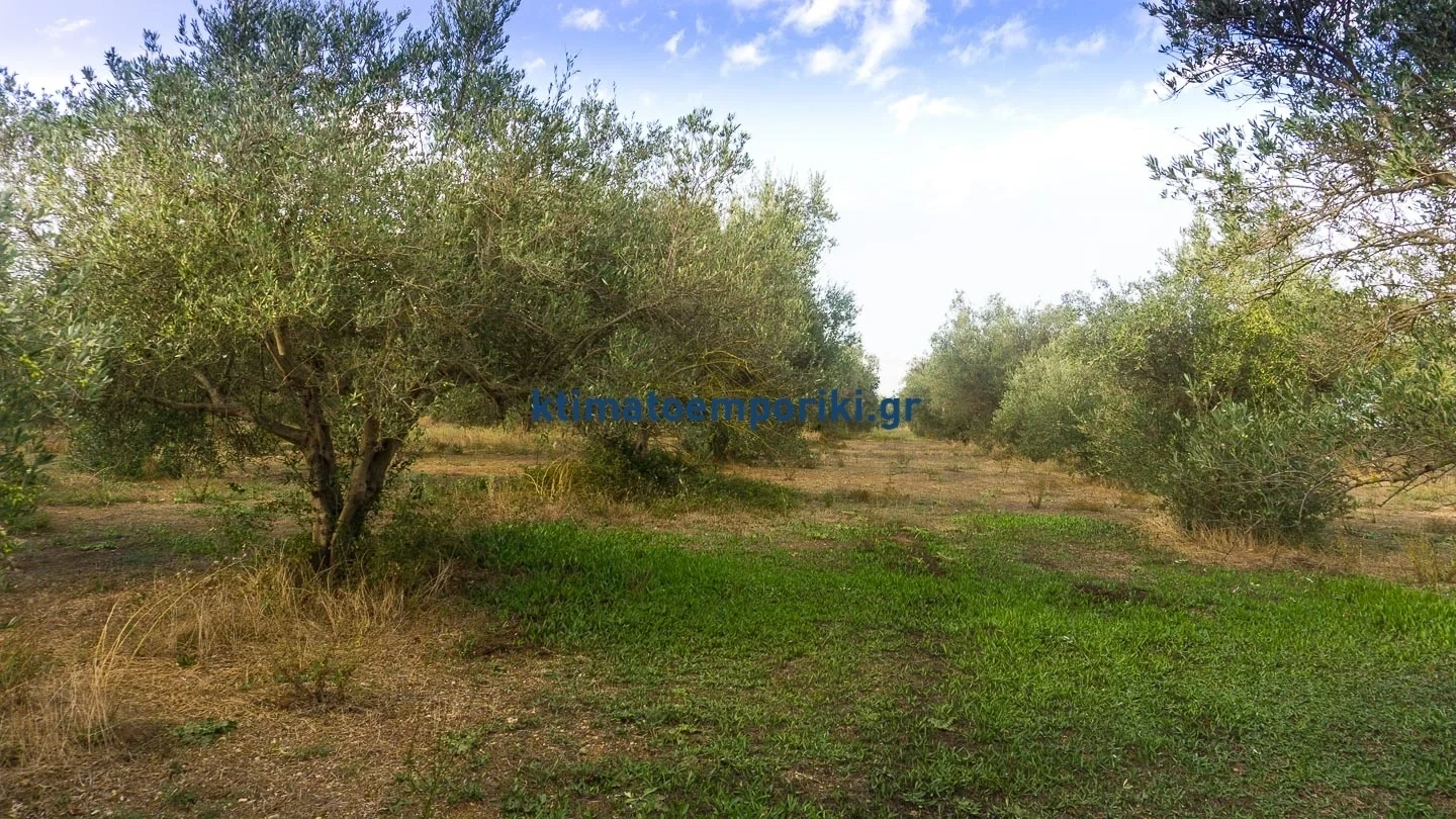 2 - vente terrain georgioupoli crète grèce