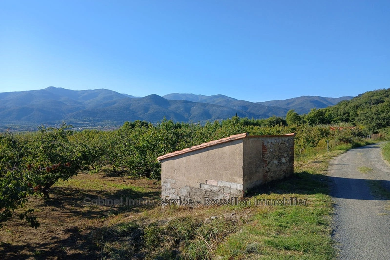 1 - verkoop terrein ceret pyrénées-orientales frankrijk