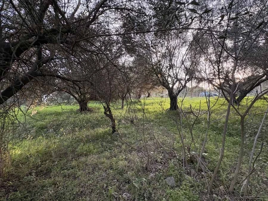 2 - vendita terreno kyrá chrysikoú isole ioniche grecia
