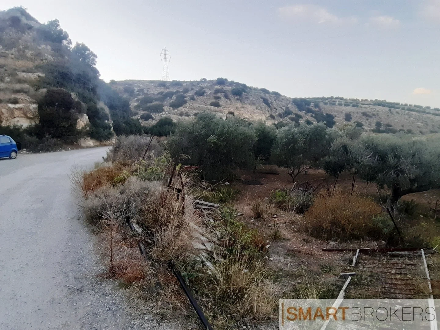 2 - plot of land for sale in elia crete greece