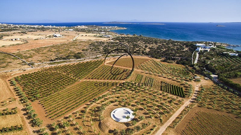 2 - vente terrain vue mer paros - cyclades egée méridionale grèce