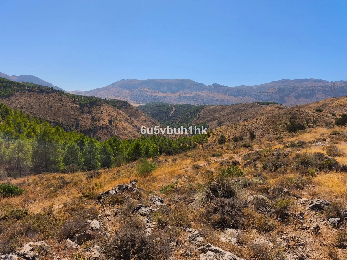 2 - venda terreno antequera andaluzia espanha