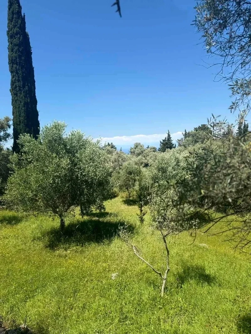 2 - vendita terreno vista mare lefkada isole ioniche grecia
