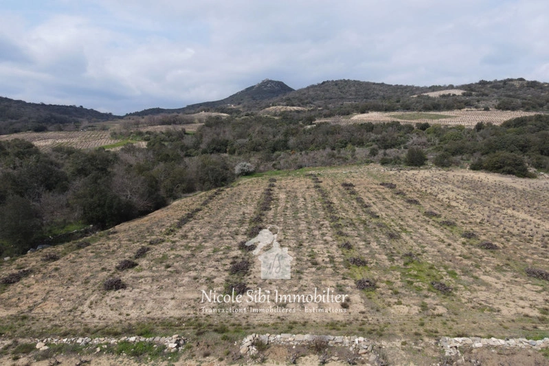 2 - verkoop terrein lansac pyrénées-orientales frankrijk
