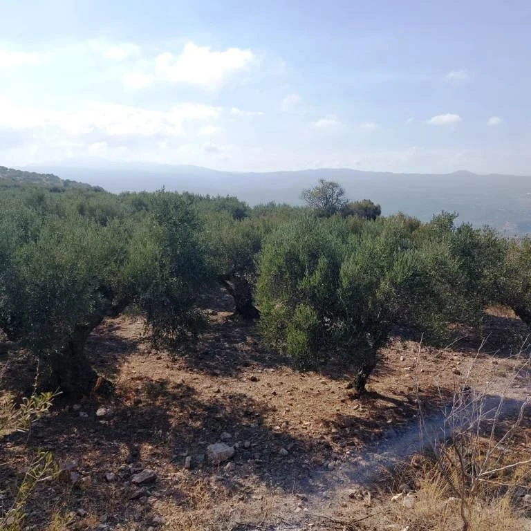 2 - vendita terreno vista mare roússa ekklisía creta grecia