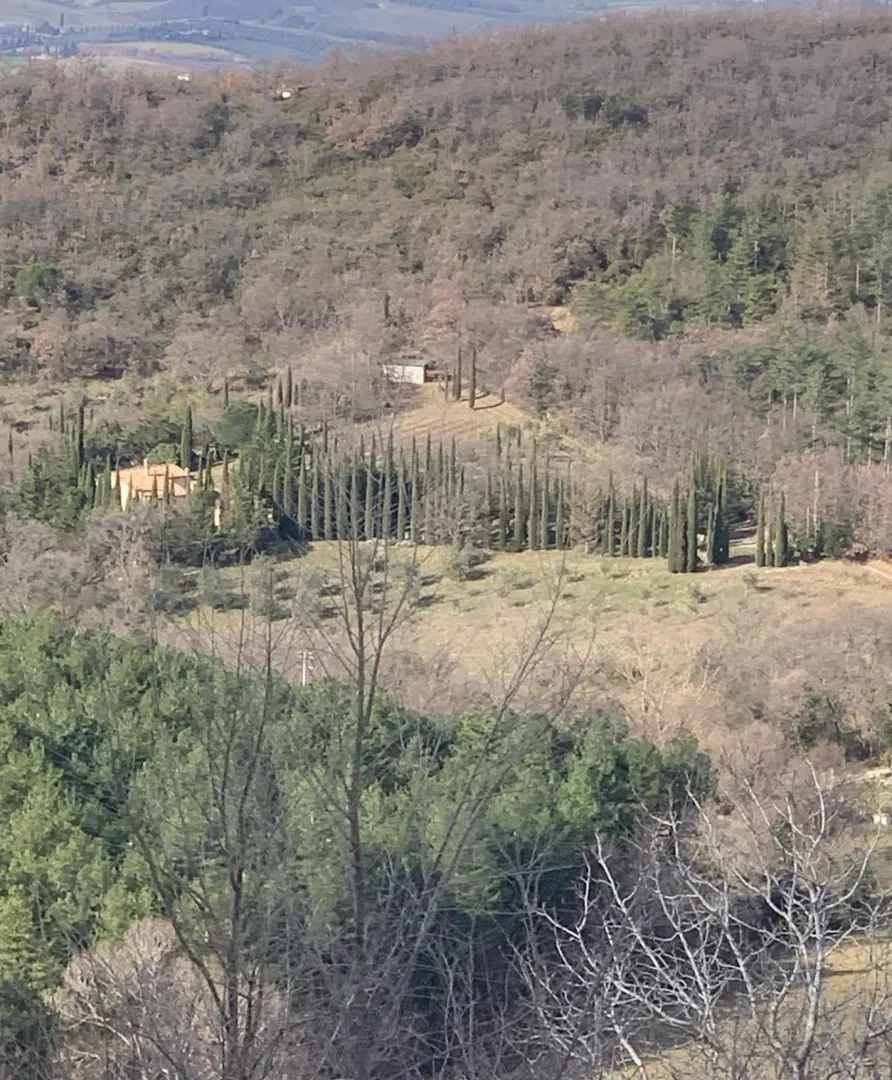 1 - venta propiedad cinigiano toscana italia