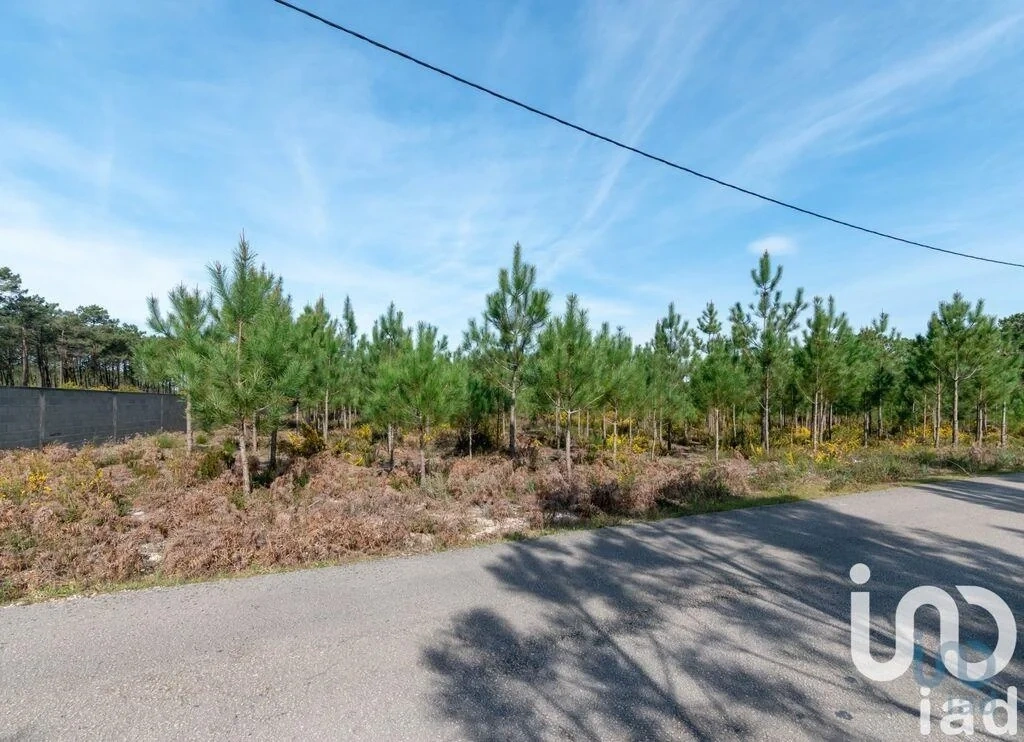 1 - venta terreno marinha grande región centro portugal