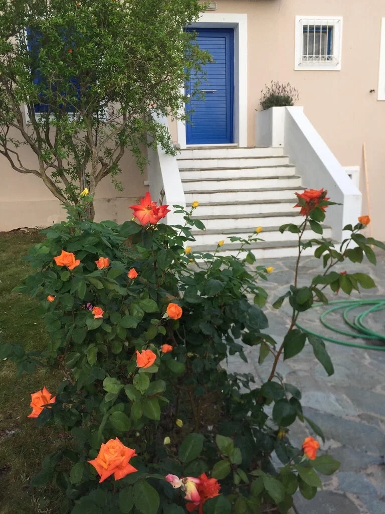 2 - vente maison plage à pied marathon attique grèce