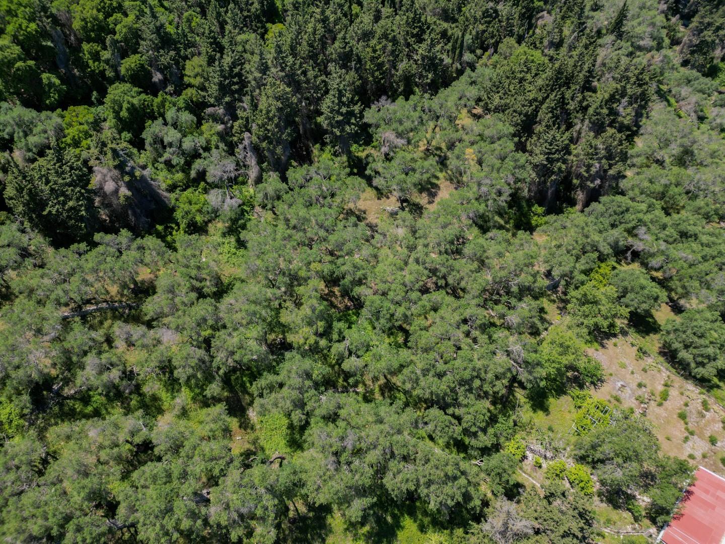 1 - plot of land for sale in loggos (paxos) ionian islands greece