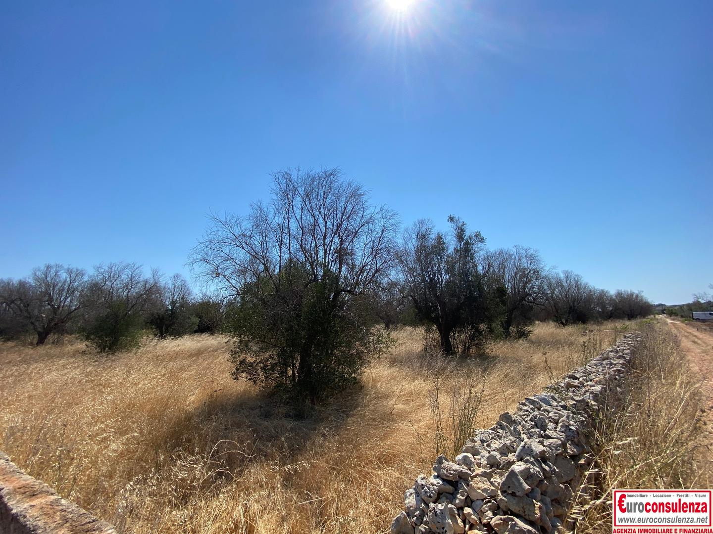 2 - plot of land for sale in ugento apulia italy