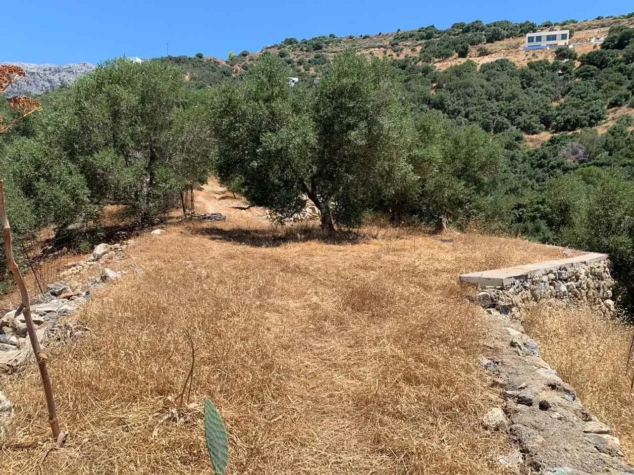 2 - verkoop terrein uitzicht op zee plakiás crete griekenland