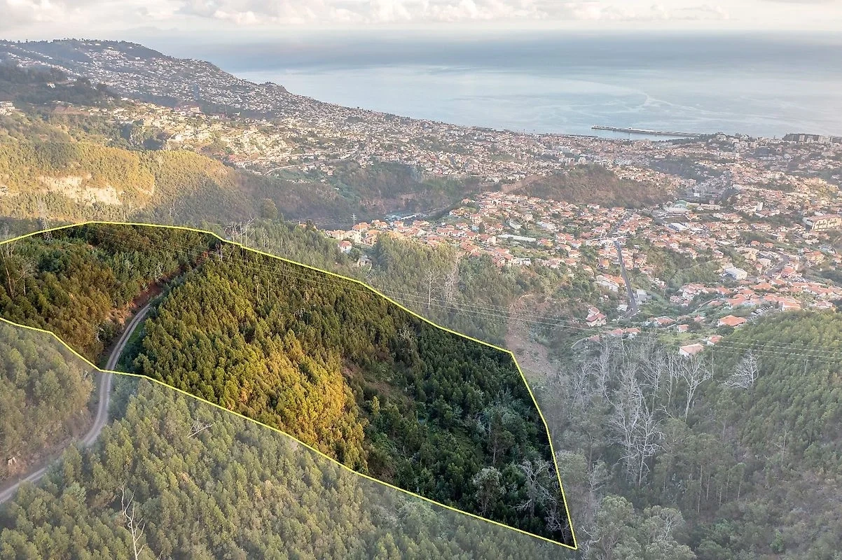 2 - vendita appartamento funchal madera portogallo
