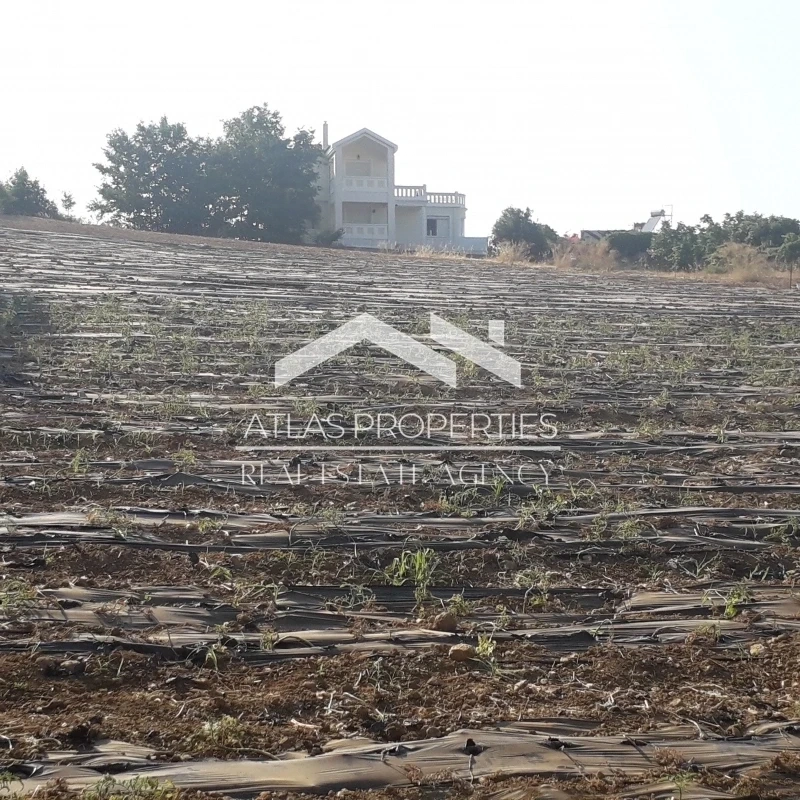 2 - vente terrain plage à pied nea kydonia crète grèce