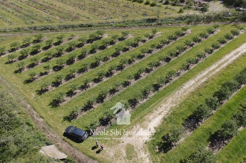 2 - vendita terreno rodès pirenei-orientali francia