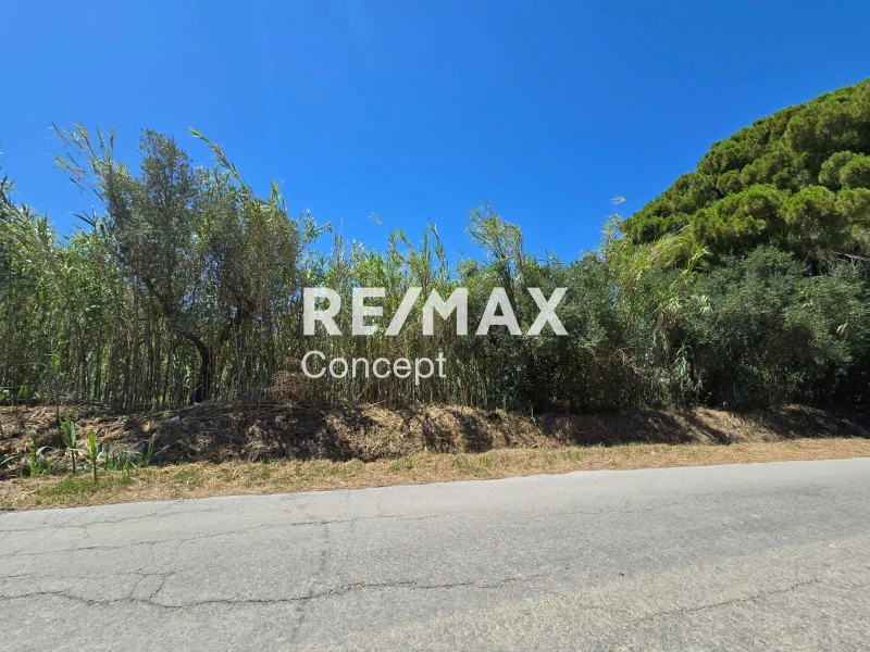 Terreno di 4 150 m²