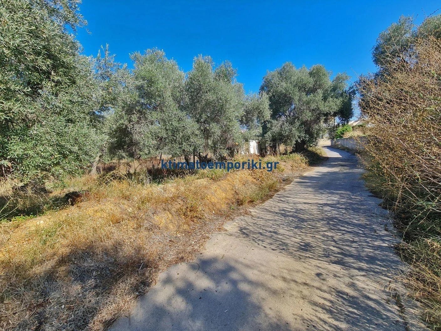 2 - vente terrain darátsos crète grèce