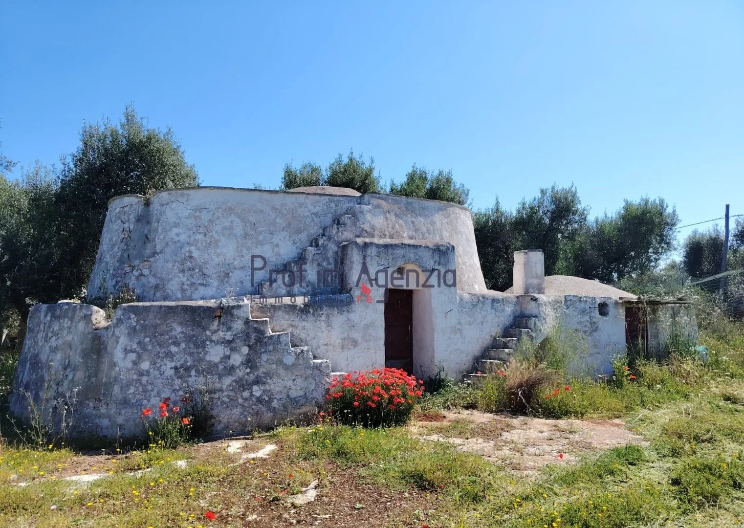 2 - estate for sale in ostuni apulia italy