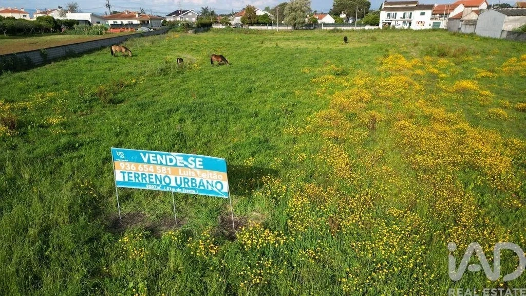 1 - plot of land for sale in oliveirinha centro region portugal