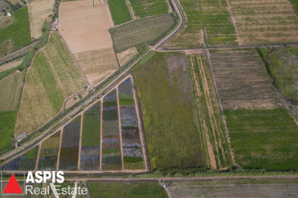 2 - vente terrain messíni péloponnèse grèce