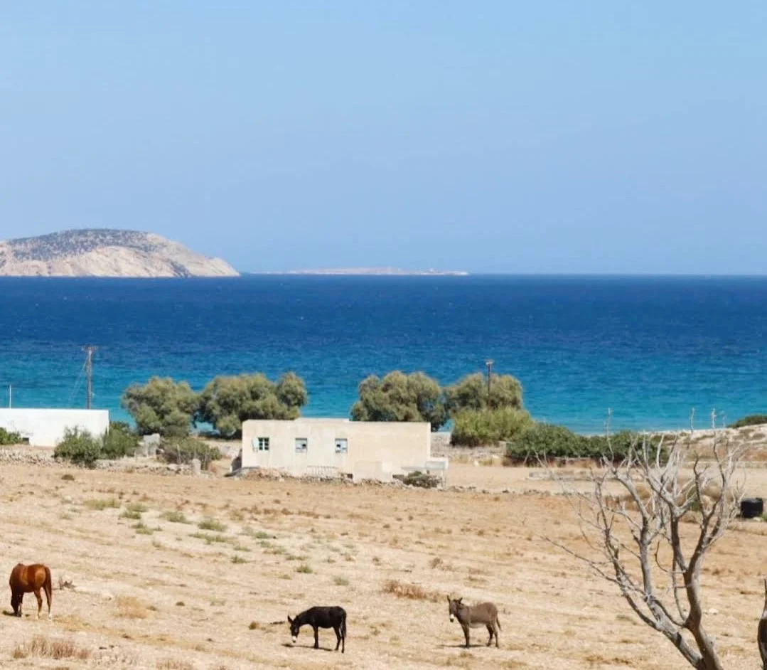 1 - venta casa vista al mar schinoussa egeo meridional grecia