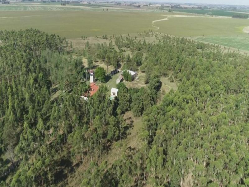 2 - estate for sale in punta del este maldonado uruguay
